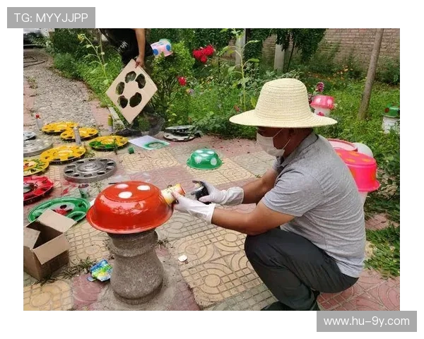 以普宁白马坡头村足球场为核心的乡村体育与社区发展探索新路径探讨 以普宁白马坡头村足球场为核心的乡村体育与社区发展探索新路径探讨